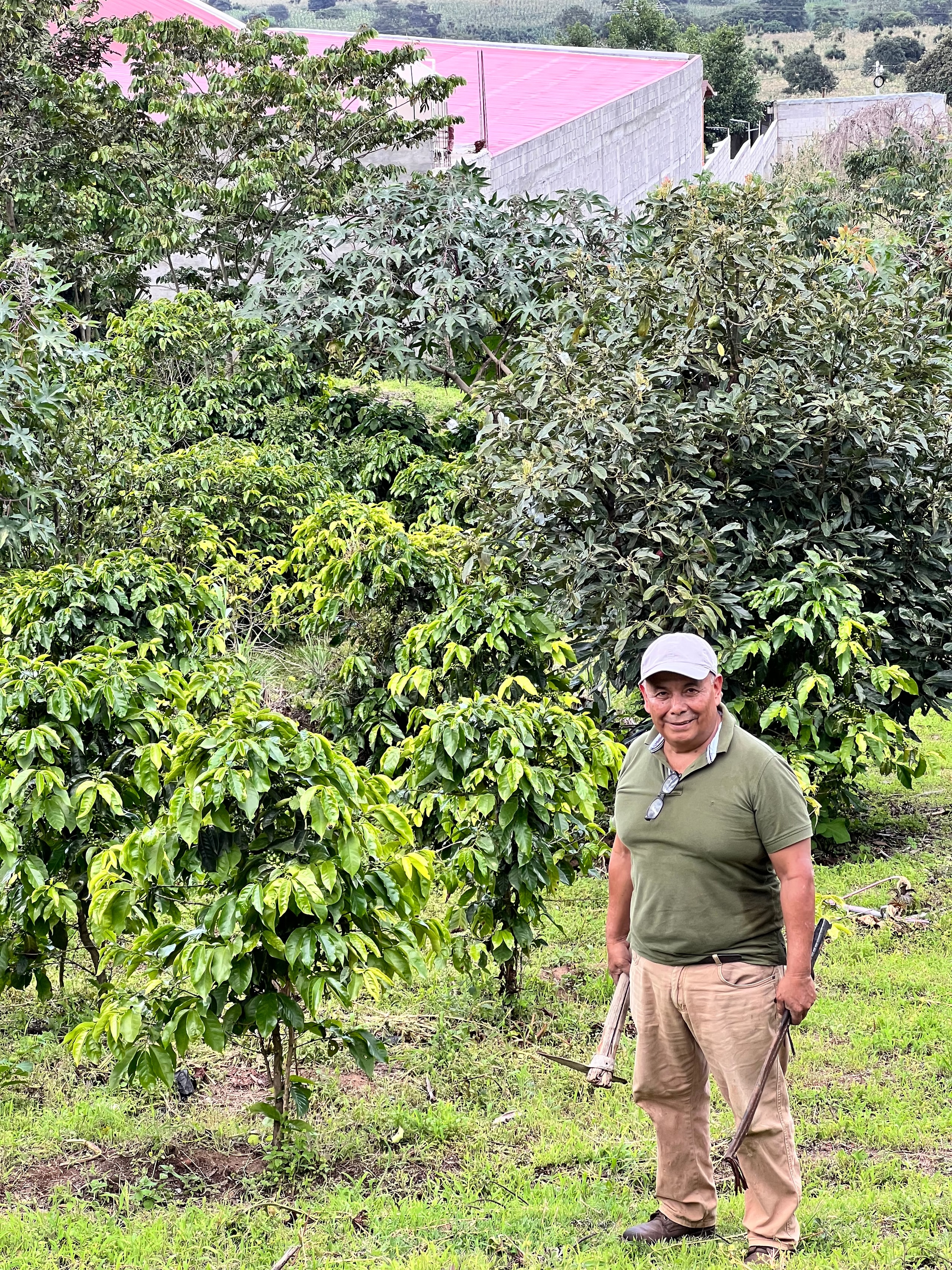 ¿Qué hacen que el café guatemalteco sea único?