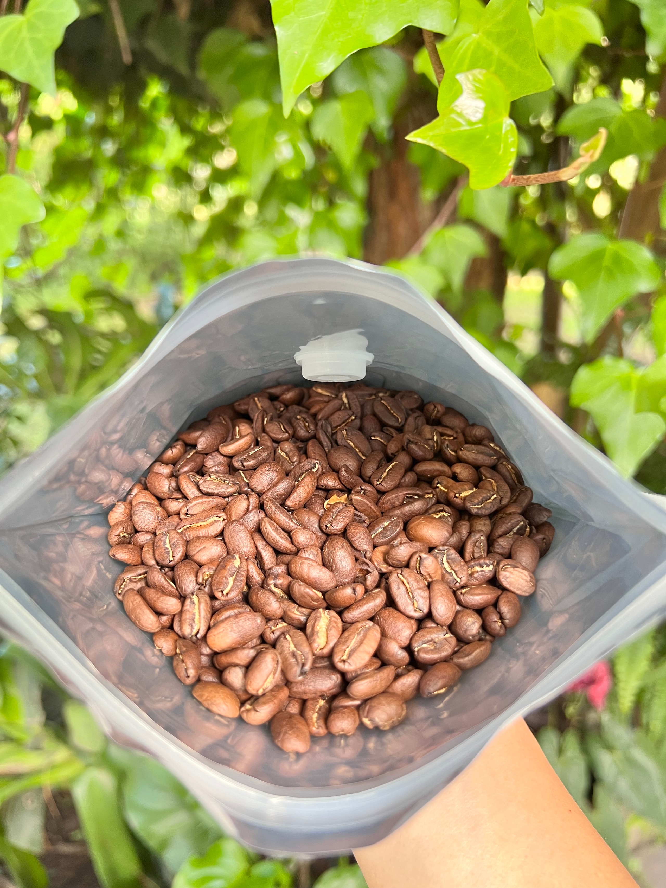 ¿Qué hace que el café guatemalteco sea único?